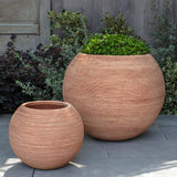 Campania Allium Planter, Set of 2 - 6499-23802