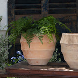 Campania Malaga Planter, Set of 4 - 6500-2404