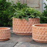 Campania Oriel Planter, Low, Set of 3 - 6514-2403