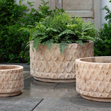 Campania Oriel Planter, Low, Set of 3 - 6514-2403