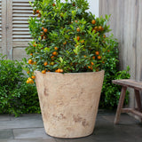 Campania Catena Planter - 6521-6601