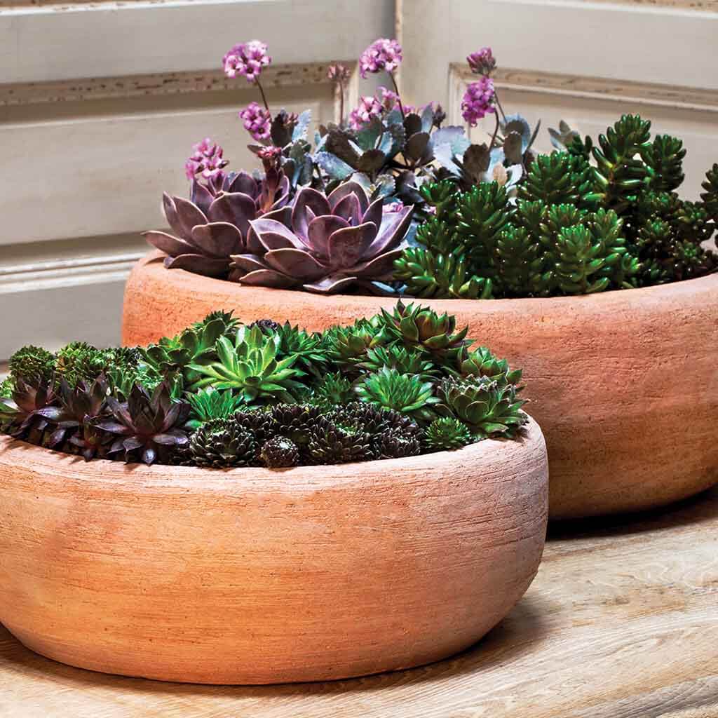 Campania Annalise Planter, Set of 2 - 6530-2402