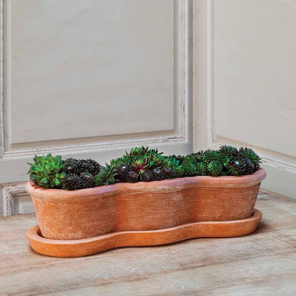 Campania Costa Planter, Set of 3 - 6532-2403