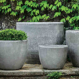 Campania Marcel Planter, Snow Monkey, Set of 4 - 6616-6804