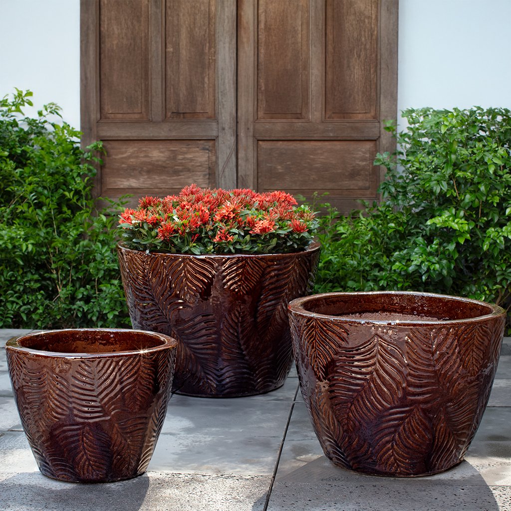 Campania Tropicale Planter, Set of 3 - 6773-0503