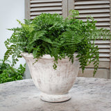 Campania Jacqueline Urn Planter - 7001-0101