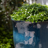 Campania Foxglove Planter, Tall, Set of 3 - 7007-0703