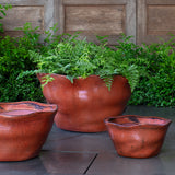 Campania Foxglove Planter, Low, Set of 3 - 7009-26803