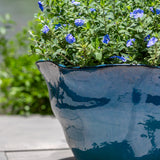 Campania Foxglove Planter, Low, Set of 3 - 7009-26803