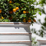 Campania Vari Planter, Set of 3 - 7011-0103