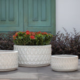 Campania Oriel Planter, Low, Set of 3 - 7013-0103