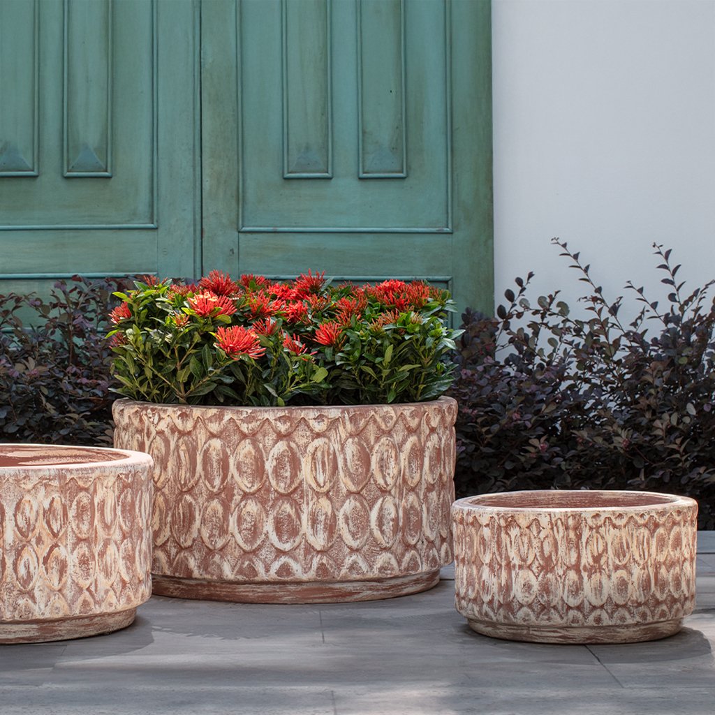 Campania Oriel Planter, Low, Set of 3 - 7013-0103