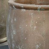 Campania Cavaillon Jar Planter - 6101-11801