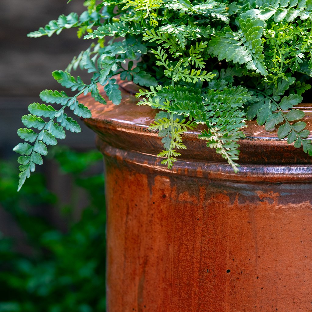 Campania Vaucluse Urn Planter - 7018-0701