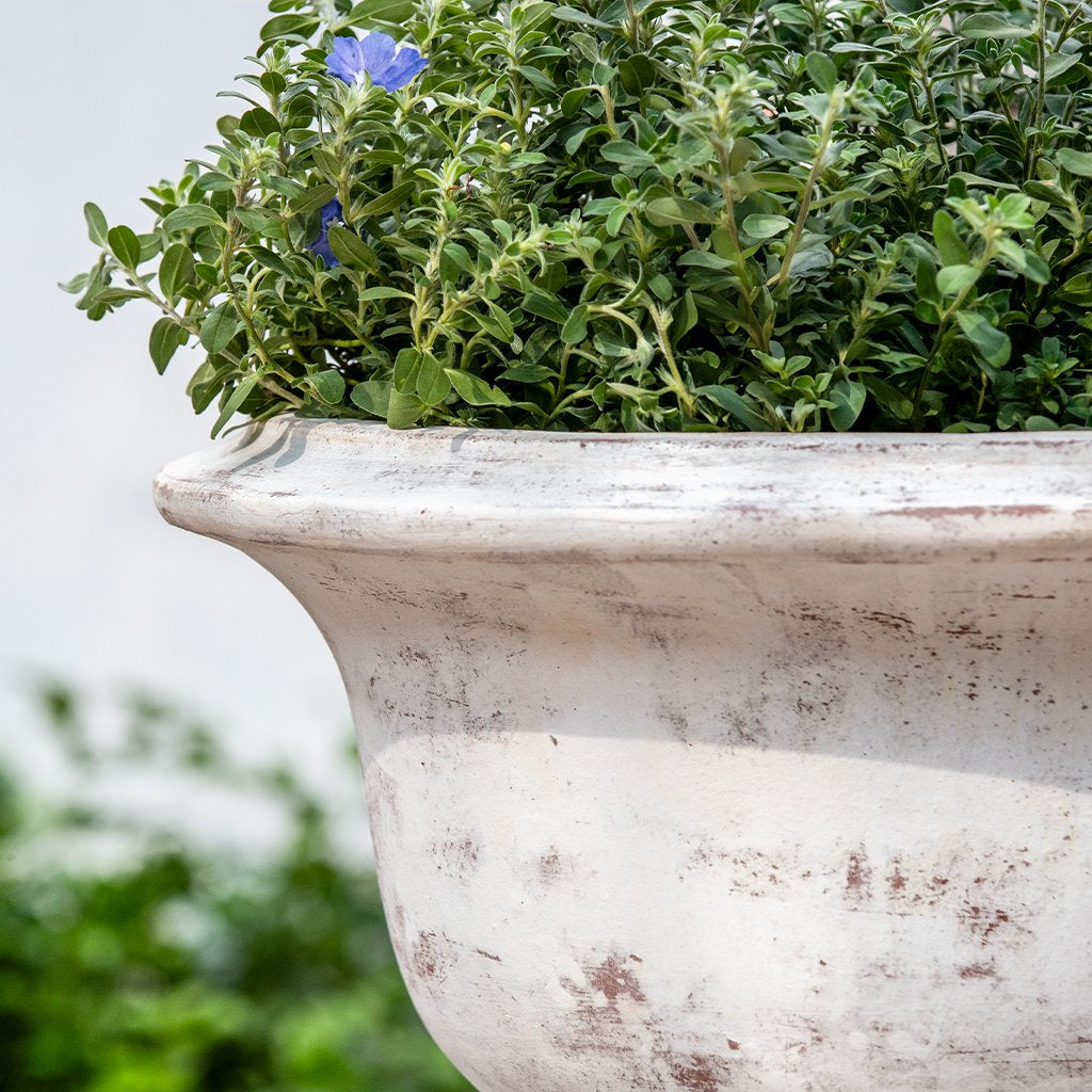 Campania Margaux Urn Planter - 7019-0701