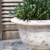 Campania Margaux Urn Planter - 7019-0701
