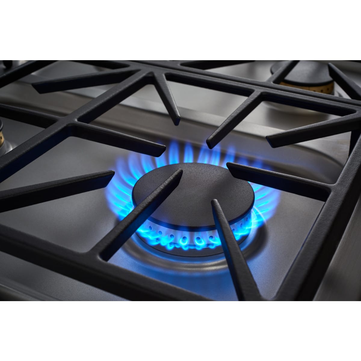 Dacor 36-Inch Transitional Gas Cooktop, Silver Stainless, NG/LP - DTG36P875NS
