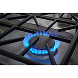 Dacor 36-Inch Transitional Gas Cooktop, Silver Stainless, NG/LP - DTG36P875NS