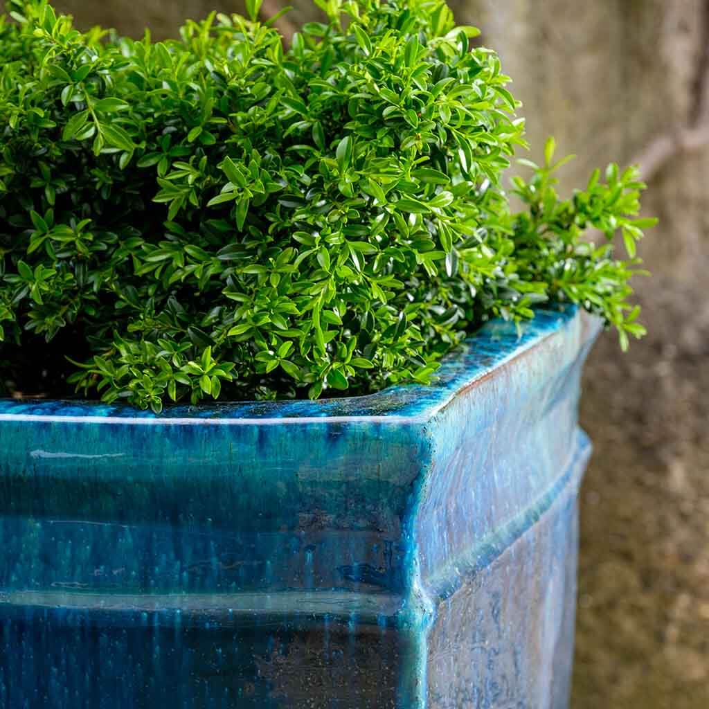 Campania Square Rolled Rim Planter, Set of 3 - 8100-0103