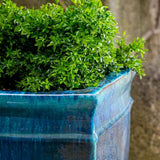 Campania Square Rolled Rim Planter, Set of 3 - 8100-0103
