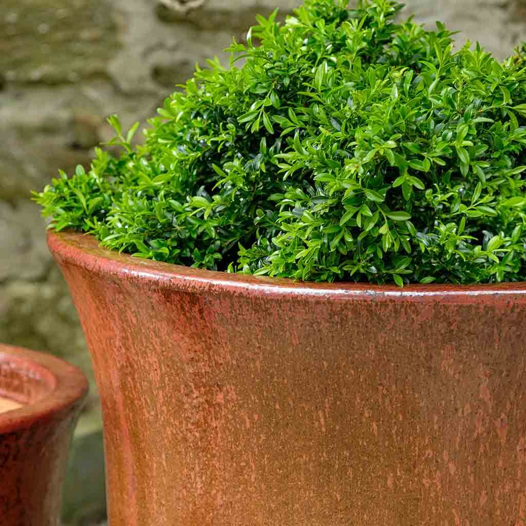 Campania Campana Planter, Set of 3 - 8103-0103