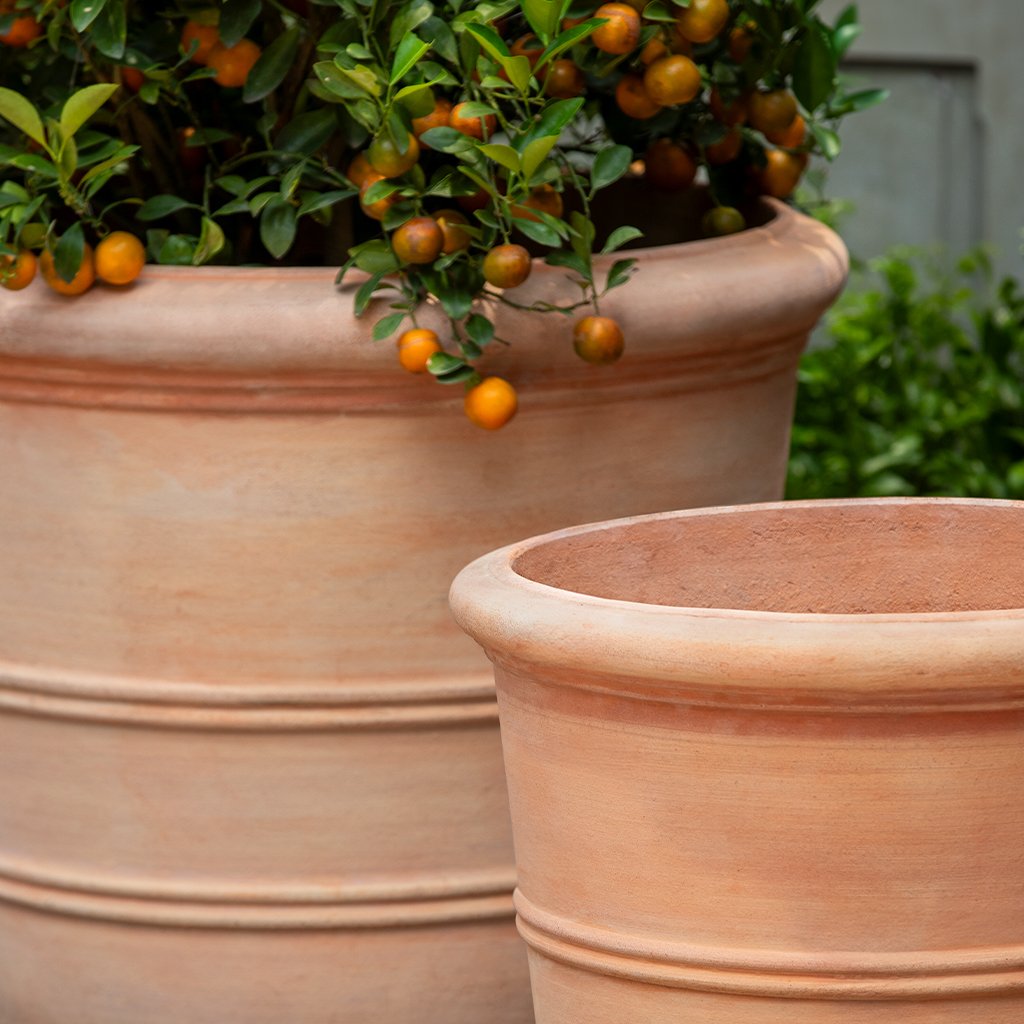Campania Classic Orangerie Planter, Set of 3 - 8360-2403