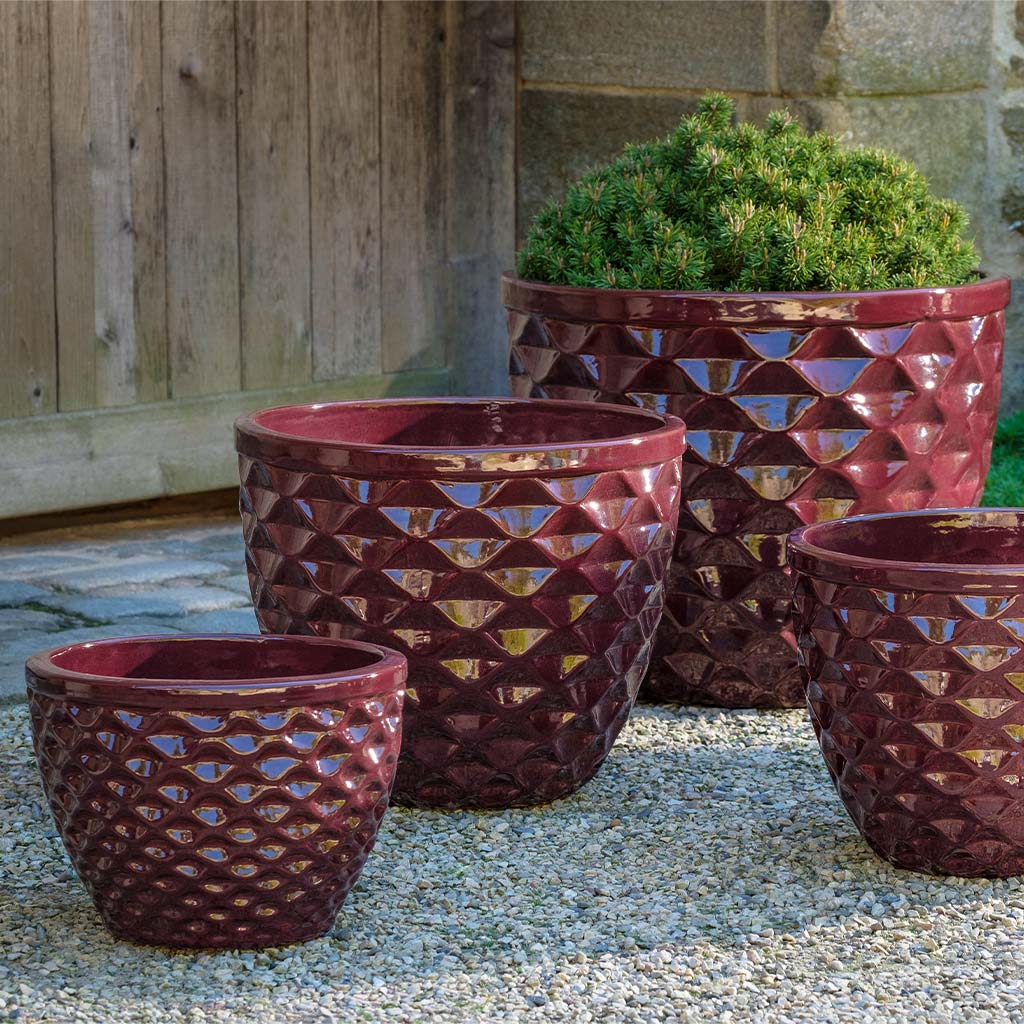 Campania Honeycomb Planter, Set of 4 - 8410-1304