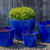 Campania Portale Planter, Set of 4 - 8943-1304