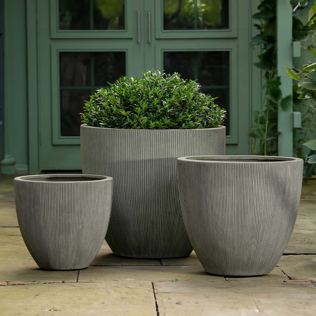 Campania Airy Planter - 94-031-22100