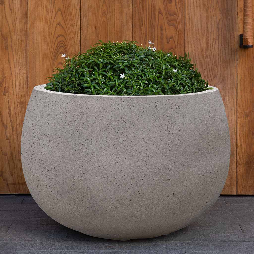 Campania Norfolk Planter - 94-206-13900
