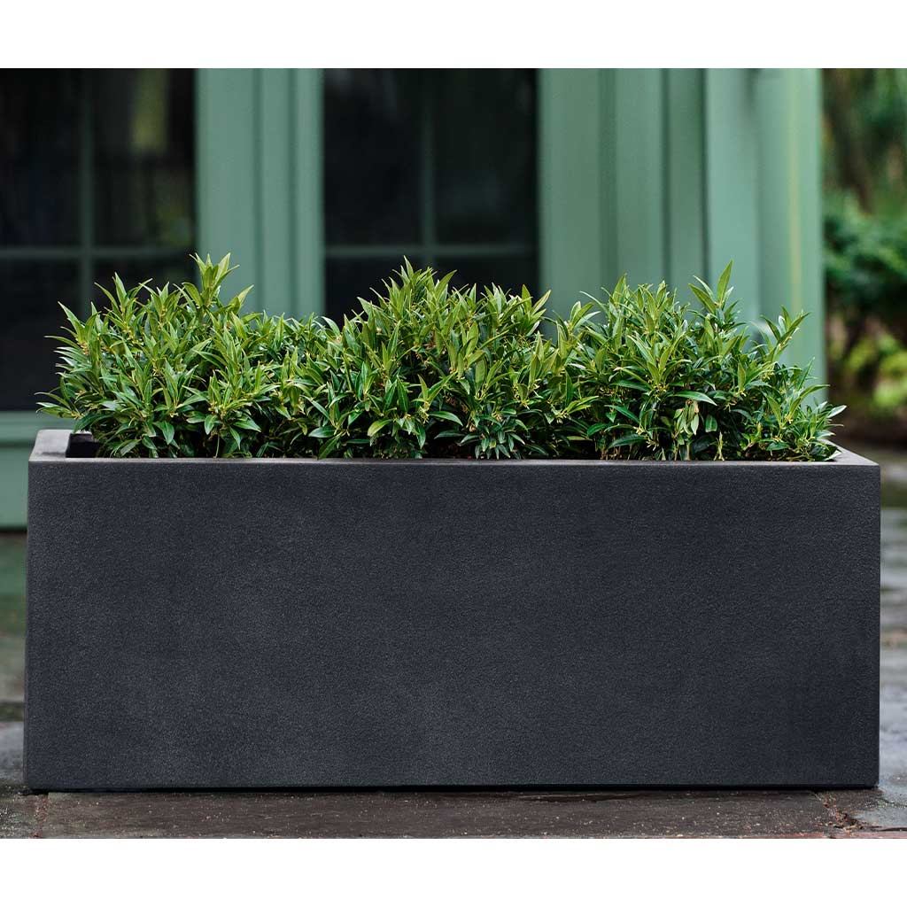 Campania Sandal Planter - 94-807-3401