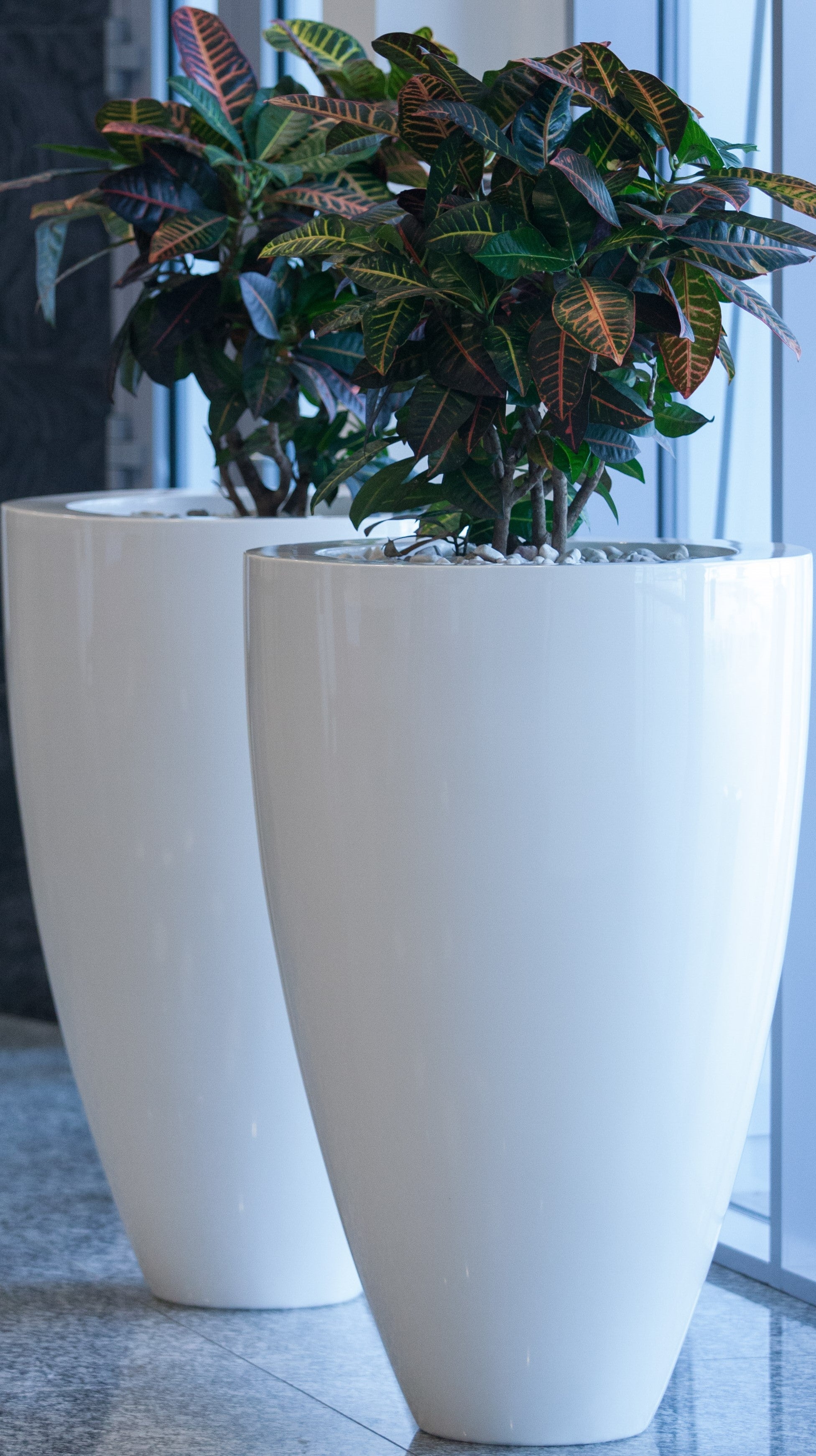Adezz Canna Glossy Fibreglass Planter