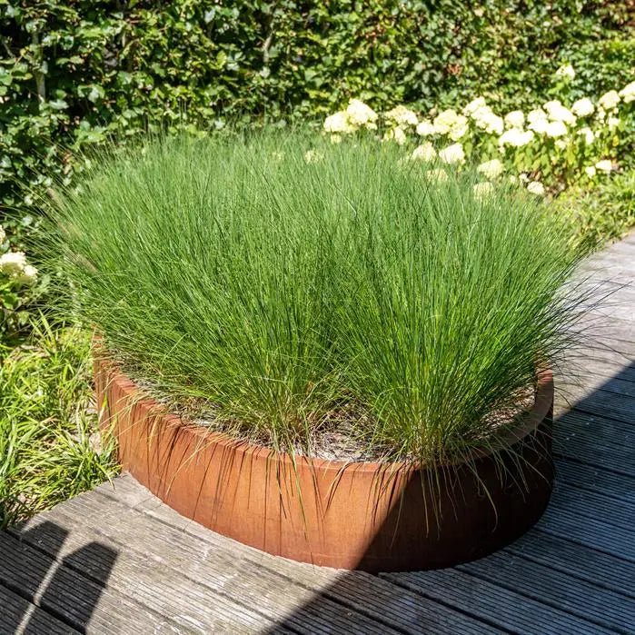 Adezz Ellipse Raised Bed without bottom