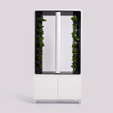 Just Vertical The AEVA Indoor Farm