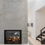 Empire Rushmore 40" See-Through Direct Vent Fireplace - DVCT40CSP95