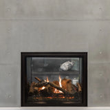 Empire Rushmore 40" See-Through Direct Vent Fireplace - DVCT40CSP95