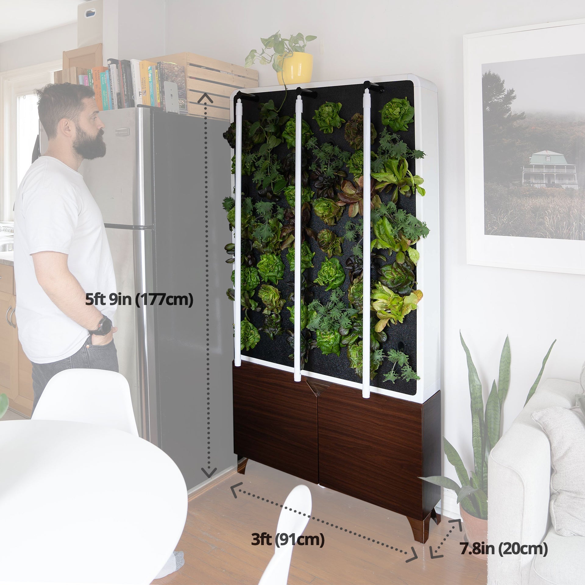 Just Vertical The ECO Living Green Wall – Distinct Designs