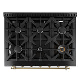 Forno Antico Dual Fuel Range, with Antique Brass Finish, Convection Oven