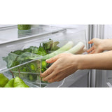 Fisher & Paykel 13.5 cu ft Series 5 Refrigerator Freezer, Ice - RF135BDRJX4