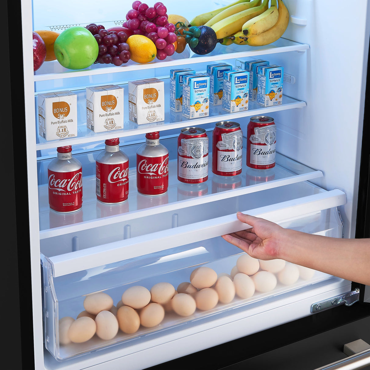 Forno Milano Espresso 31-Inch Bottom Freezer Refrigerator, 17.2 cu.ft Capacity
