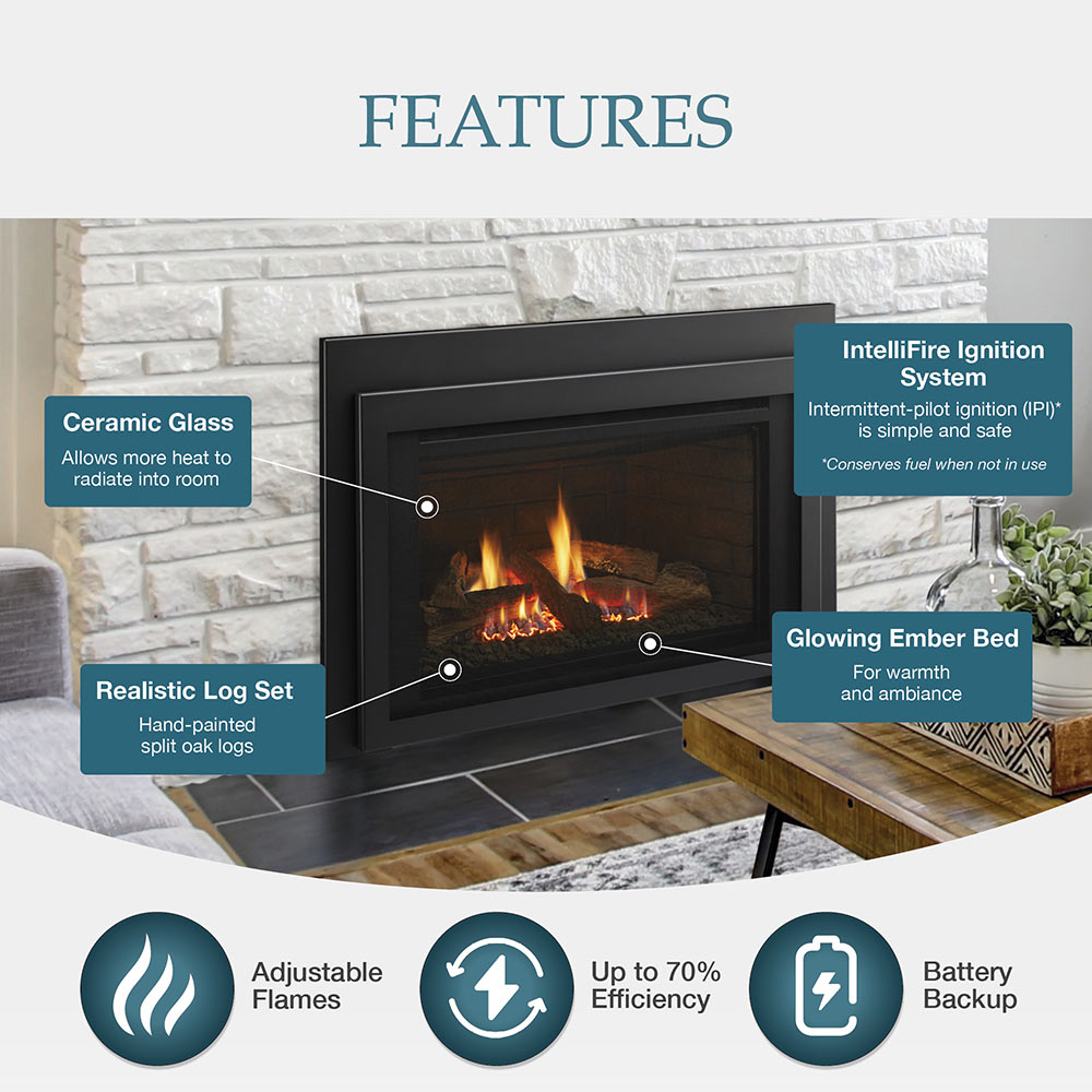 Majestic 30" Jasper Direct Vent Gas Insert