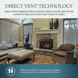 Majestic 30" Jasper Direct Vent Gas Insert