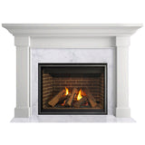Majestic 42" Meridian Platinum Direct Vent Gas Fireplace