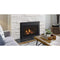 Majestic 30in Jasper Direct Vent Gas Fireplace Insert with IPI Ignition System