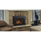 Majestic 30in Jasper Direct Vent Gas Fireplace Insert with IPI Ignition System