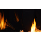 Majestic 36" Meridian Platinum Direct Vent Gas Fireplace