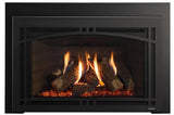 Majestic 30" Ruby Platinum Direct Vent Gas Fireplace