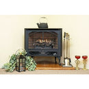 Buck Model 384 Vent-Free Gas Stove NV 3844NAT-DOORS