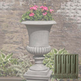 Campania Kent Urn - P-643
