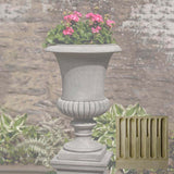Campania Kent Urn - P-643